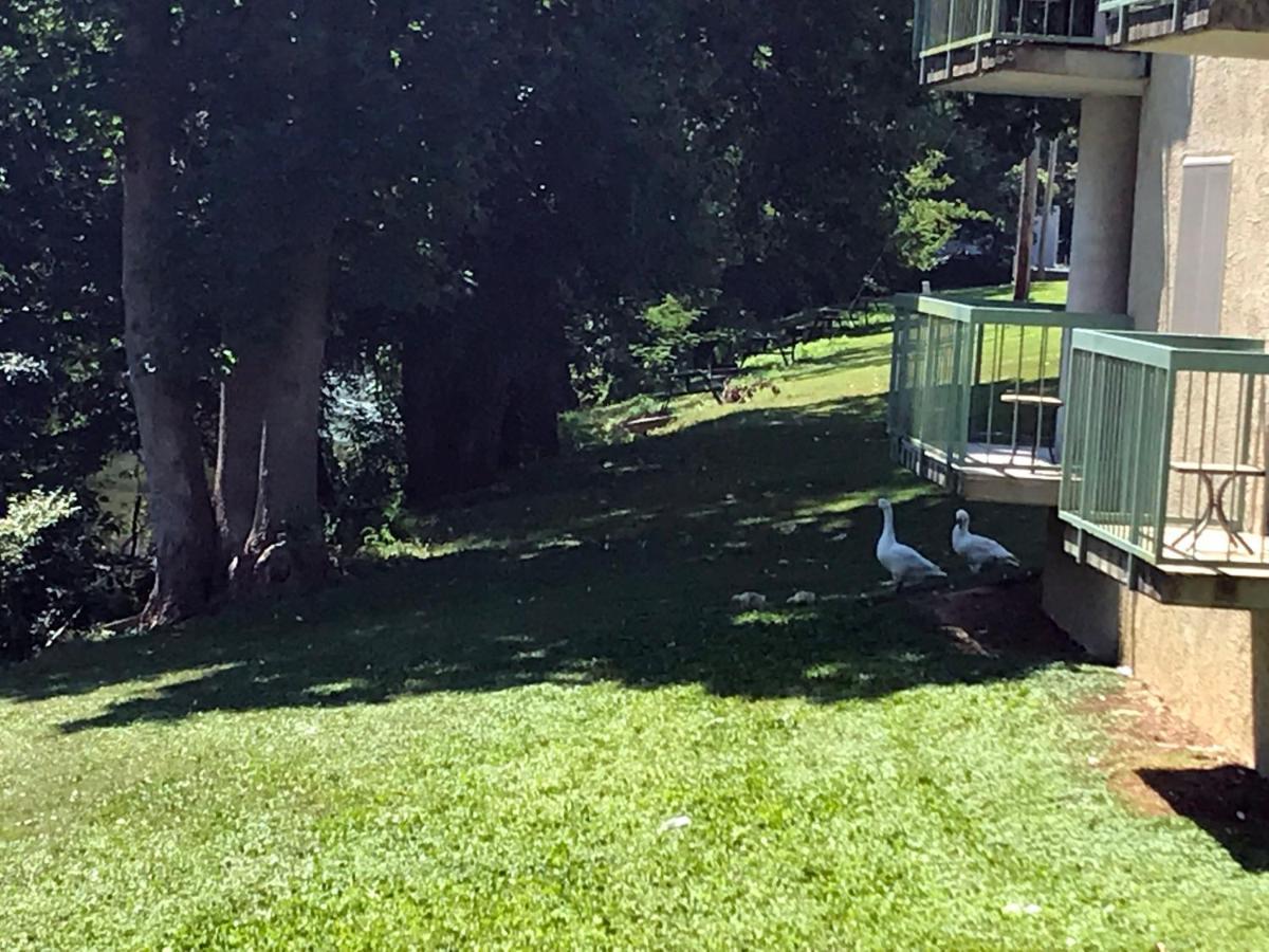 The River Cottage Pigeon Forge Dış mekan fotoğraf